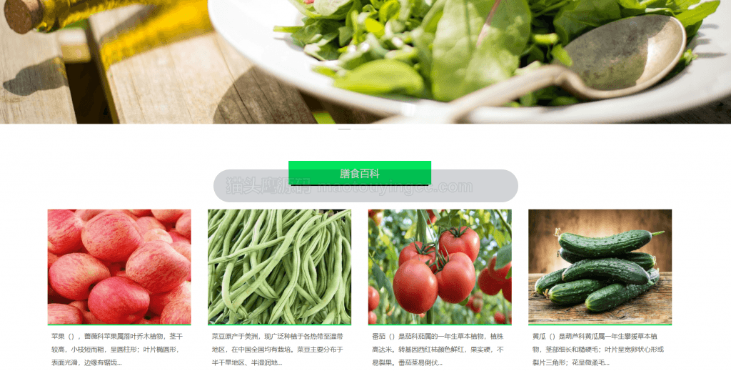 首页